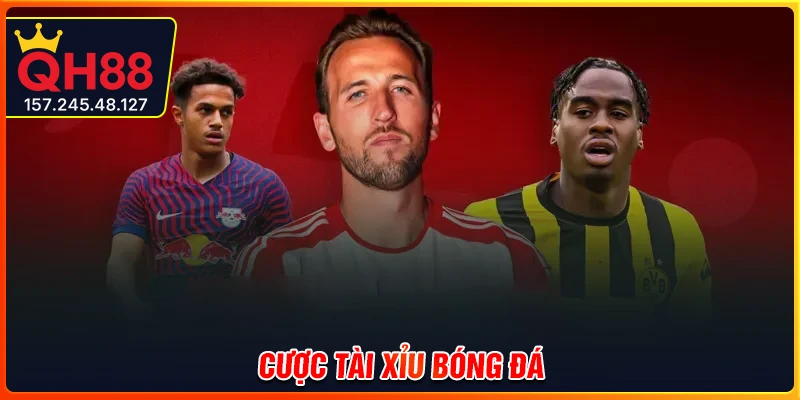Cược tài xỉu bóng đá - Khám phá bí kíp chơi hay cùng QH88