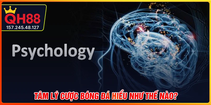 Tâm lý cược bóng đá được hiểu như thế nào?